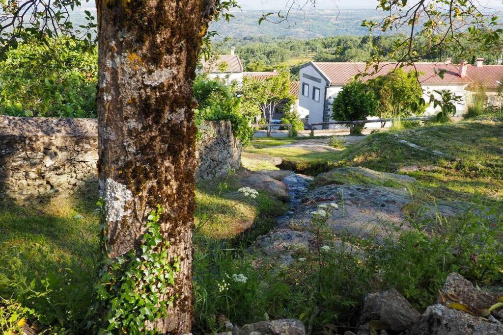 El Bosque De Los Romanos Leilighet Puerto de Béjar Eksteriør bilde